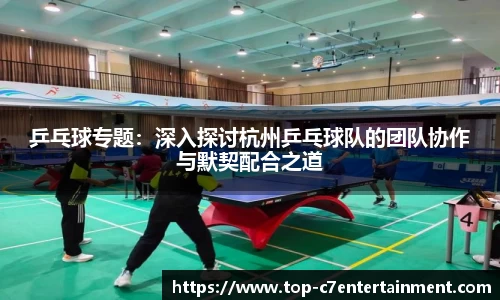 乒乓球专题:深入探讨杭州乒乓球队的团队协作与默契配合之道
